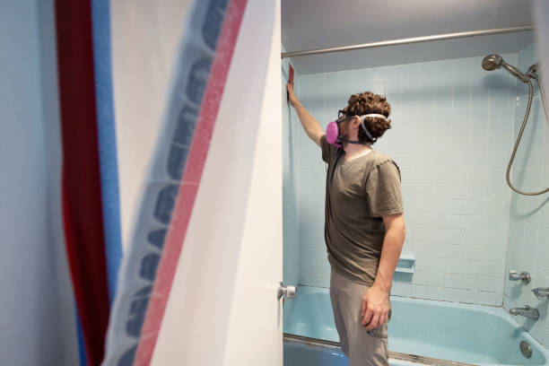 Saxapahaw, NC Mold Removal Company