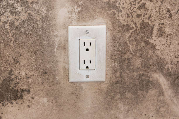 Best Mold Removal for HVAC Installations  in Saxapahaw, NC