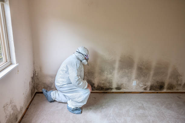 Best Biohazard Mold Removal  in Saxapahaw, NC
